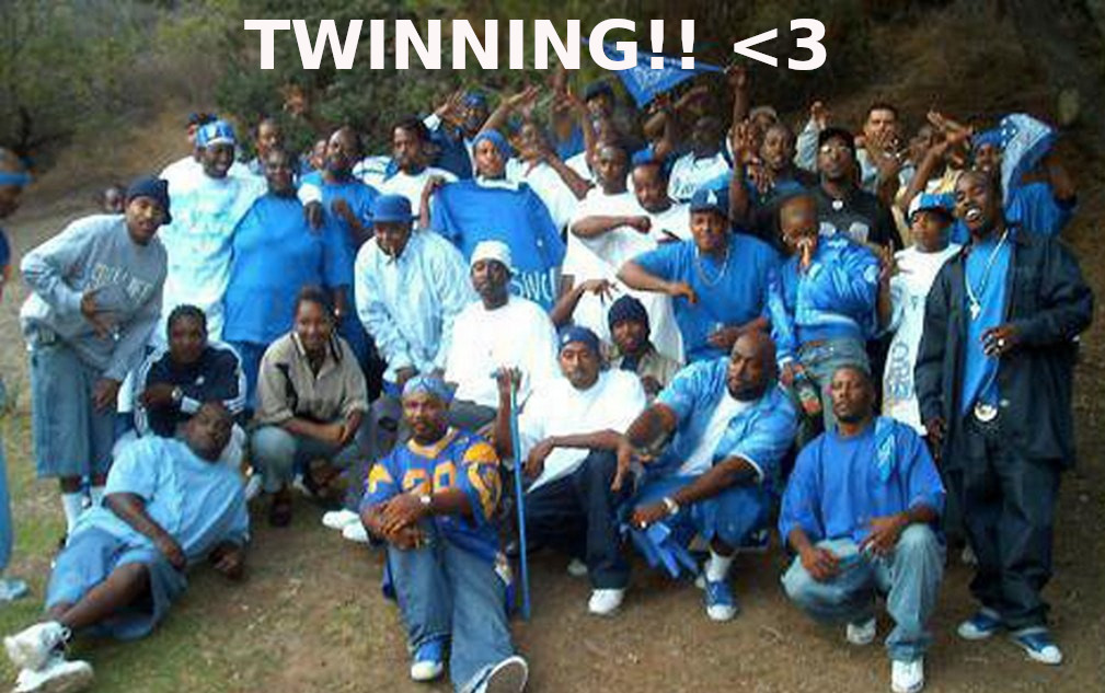 Twinning